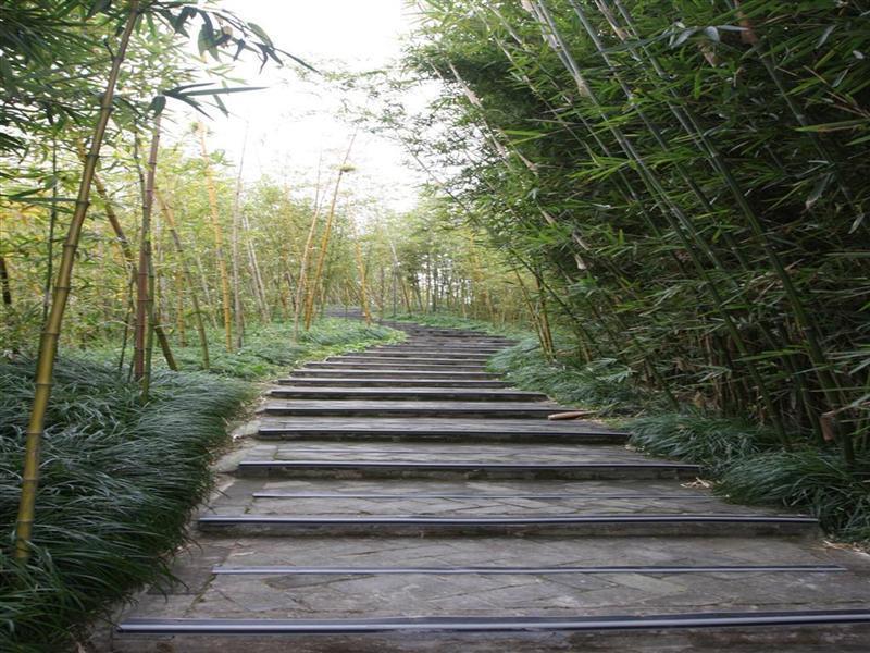 Greentree Inn Shanghai Chongming Nanmen Express Hotel Luaran gambar